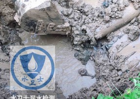 麻章区水管漏水检测公司5